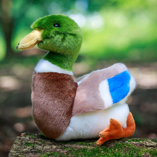 Mallard Duck Soft Toy Animigos