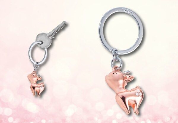 Key door FAON ROSIE