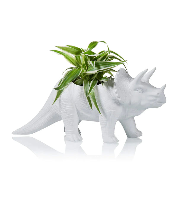 Pot de fleur Dinosaure Tricérapot Bitten – Cache-pot original