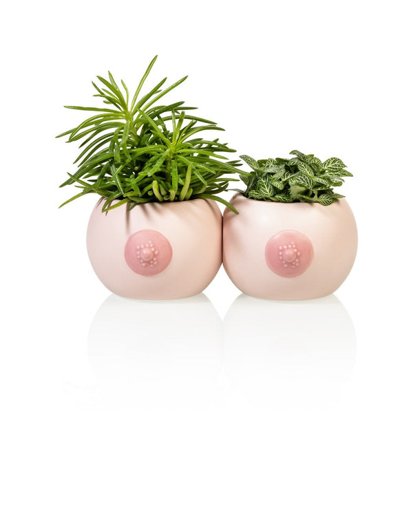 Pot de Fleur Seins Bitten – Cache-pot original