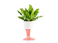 Bloempot Flamingopoten – Groot