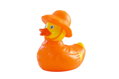 Canard Temps de Pluie