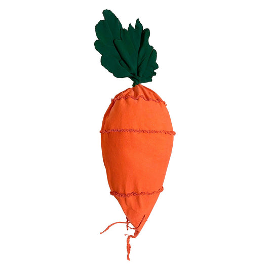 Bean Bag Cathy the Carrot