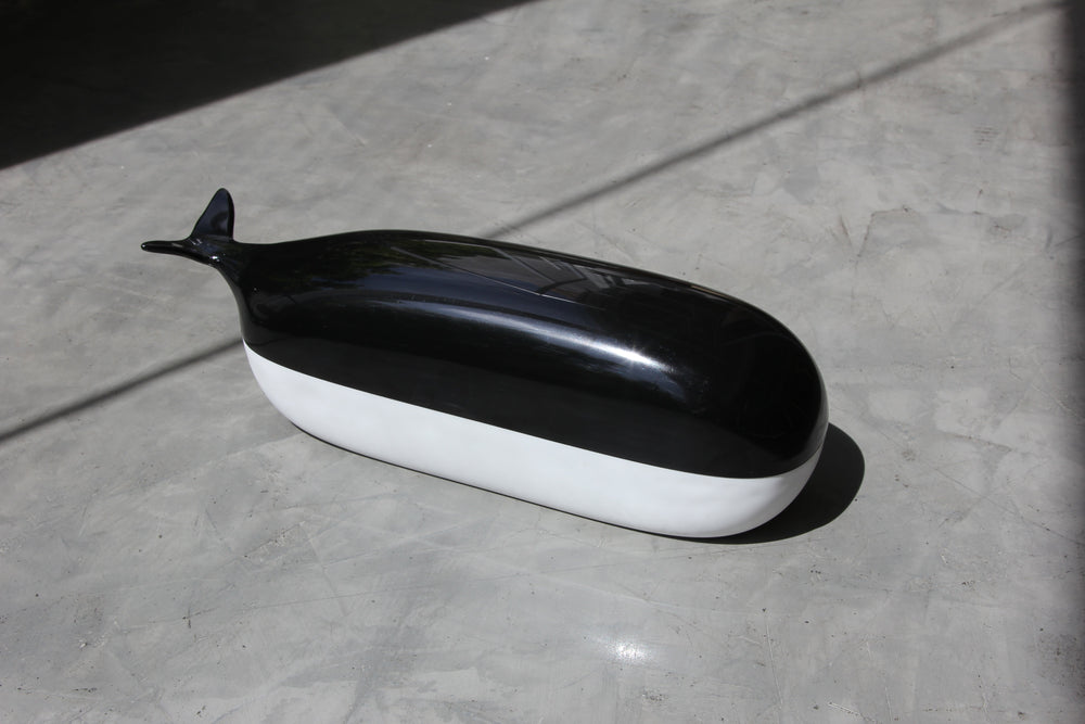 Boite Willy la Baleine