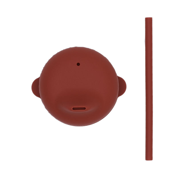 Rust cover and mini straw