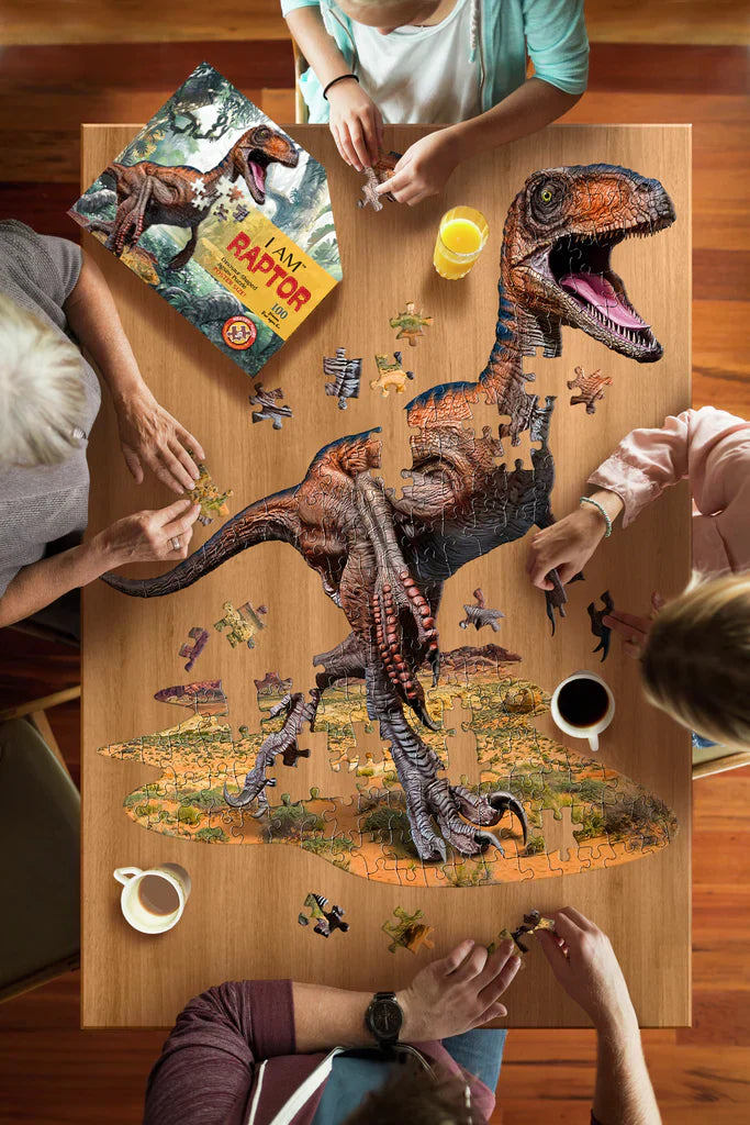 Raptor Puzzle 