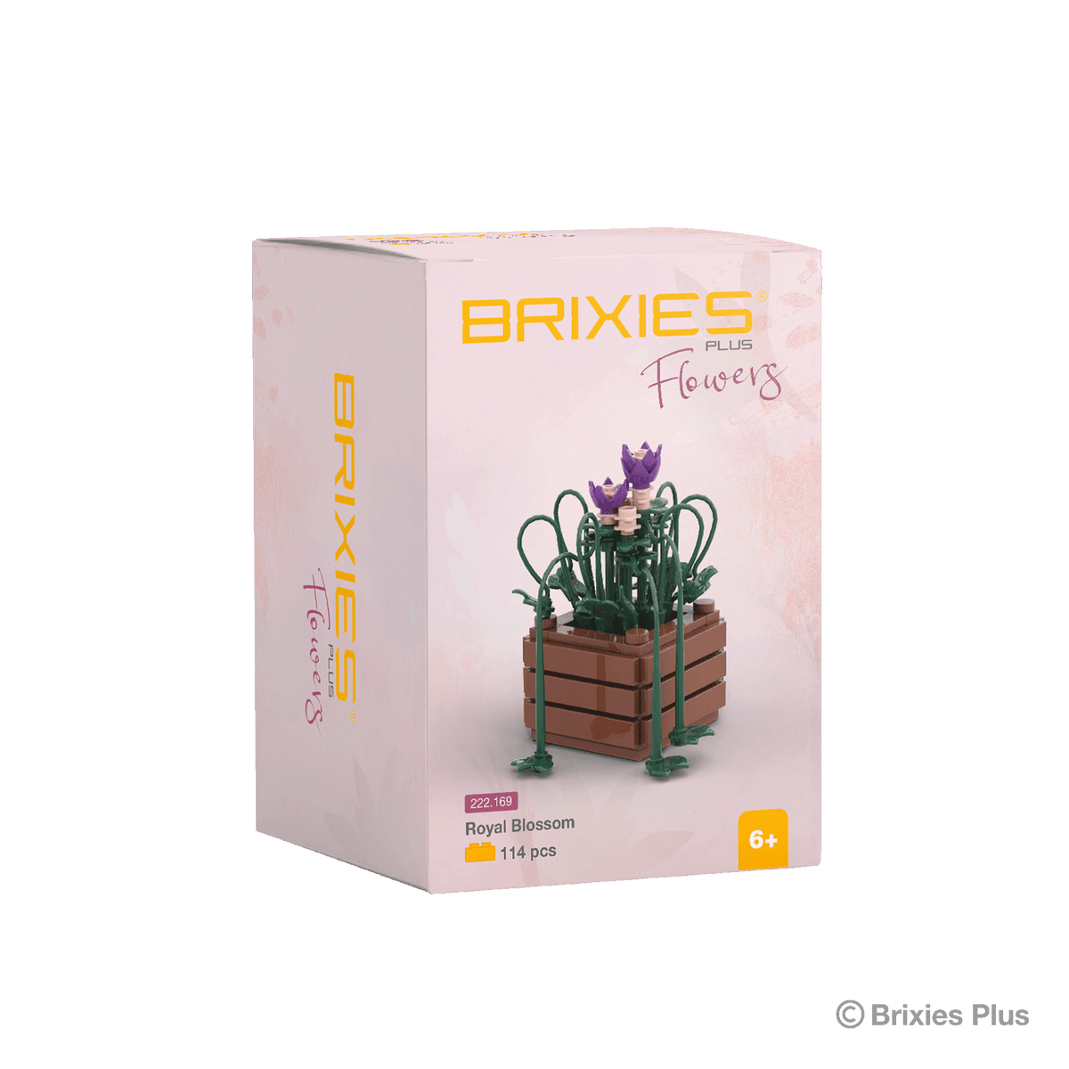 BRIXIES Plus Mini Flower "Royal Blossom"