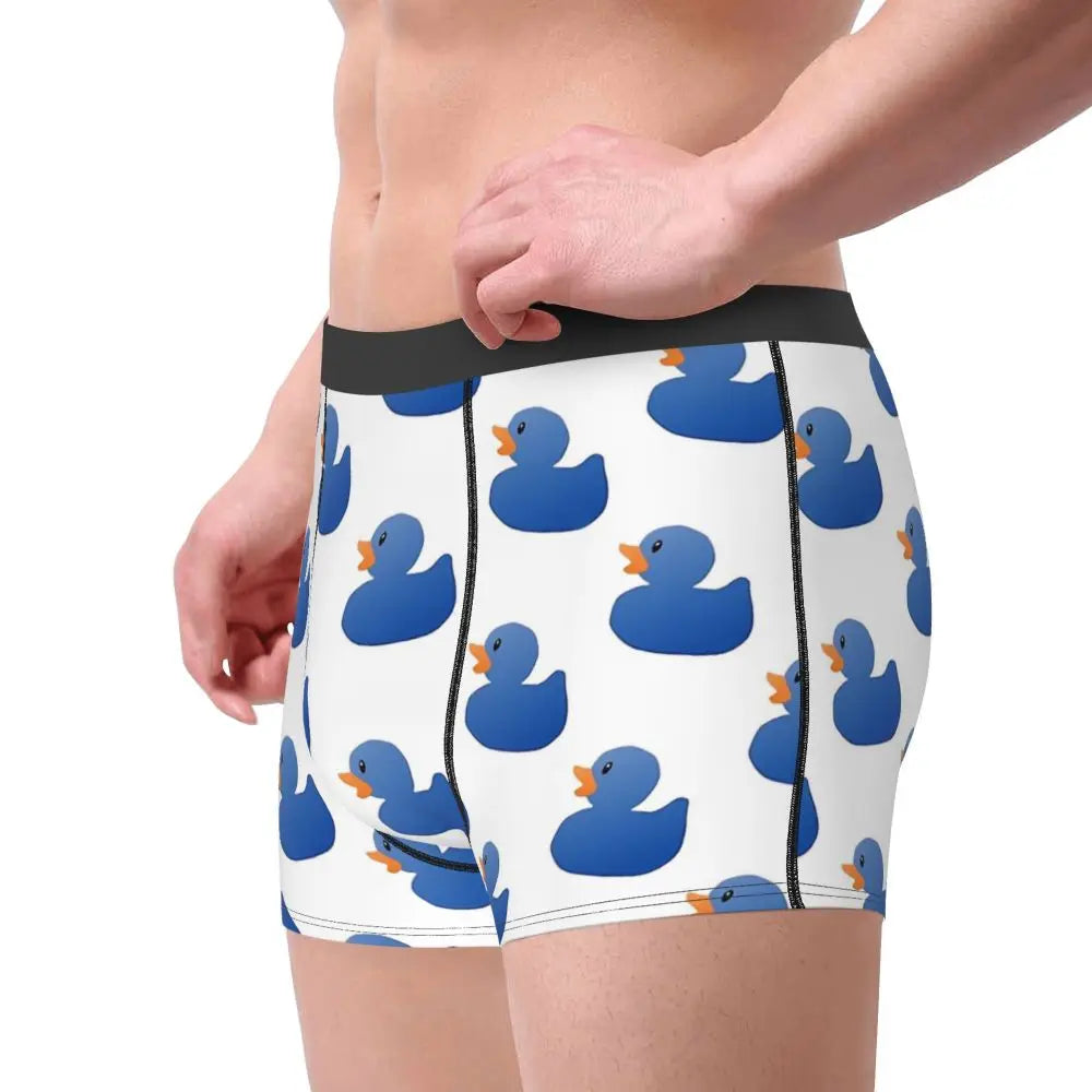 Boxer Blue Ducks
