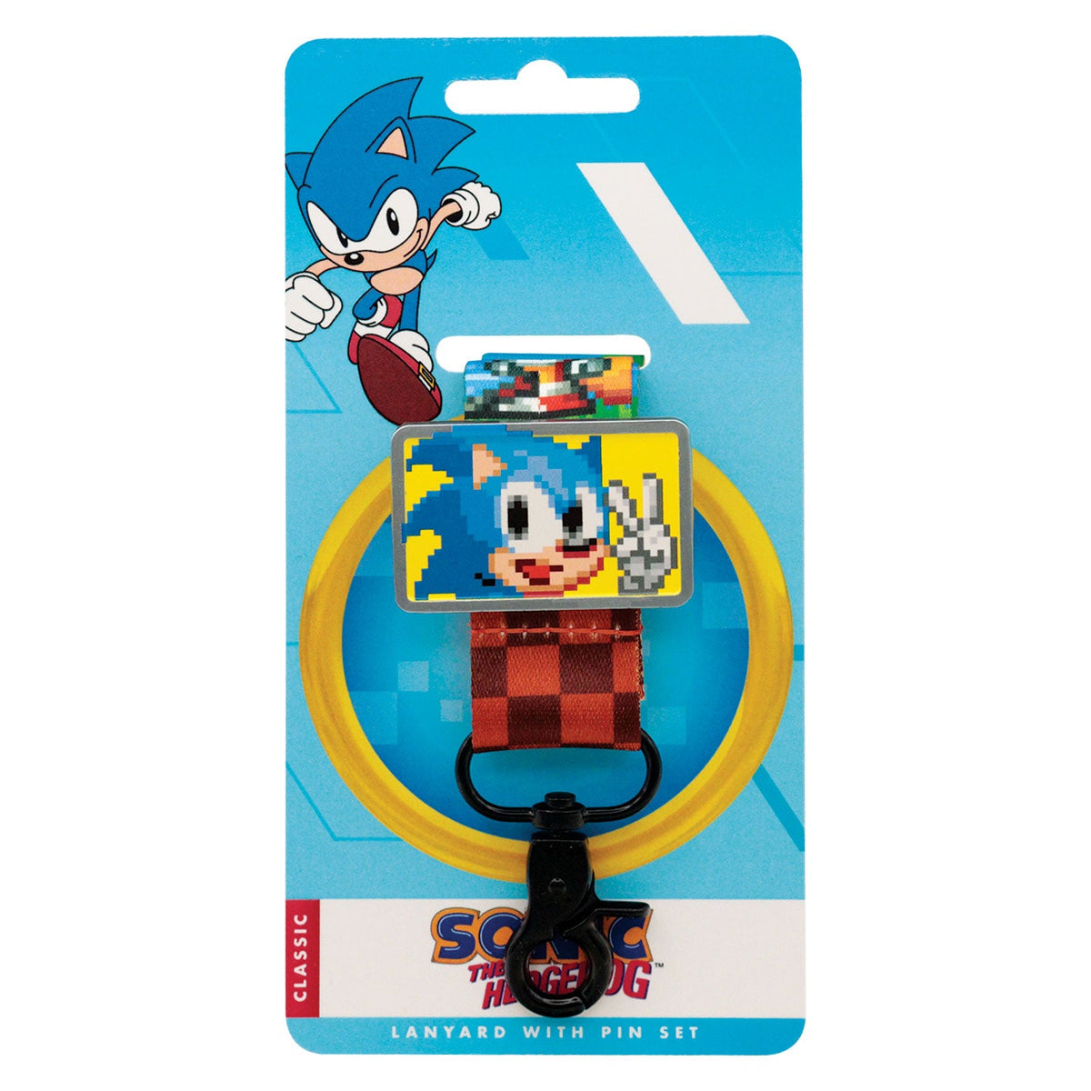 Sonic lanyard and pin set
