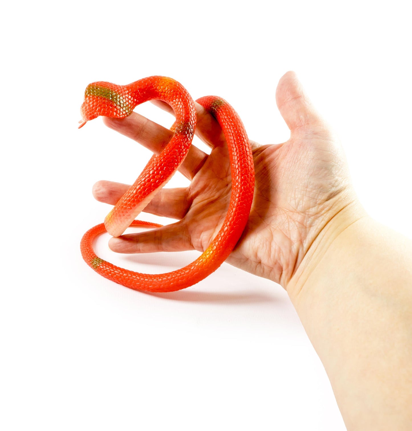 EXTENDABLE SNAKE