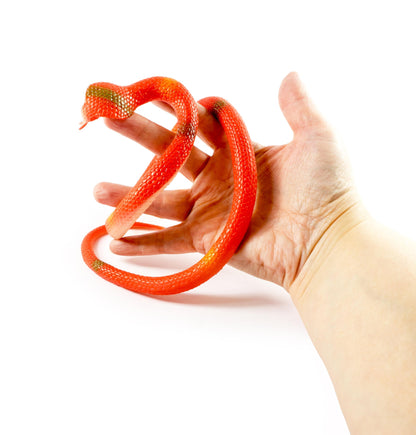EXTENDABLE SNAKE