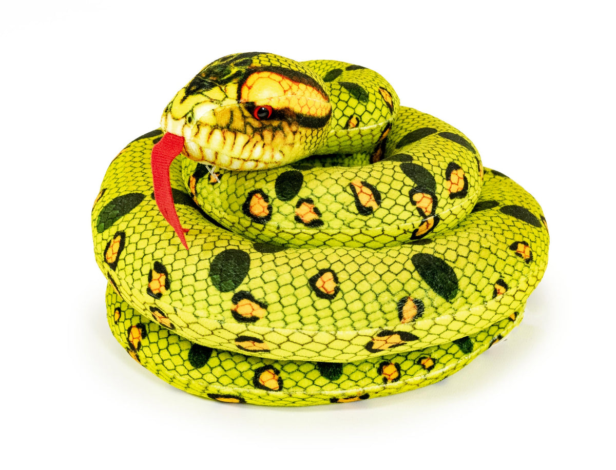 ASSORTED SNAKES 6