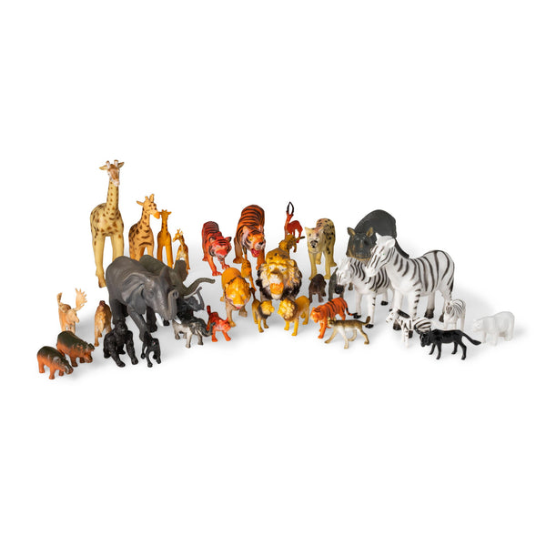 WILD ANIMALS (BOX OF 36)