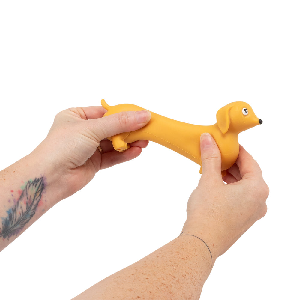 Chien Saucisse Extensible