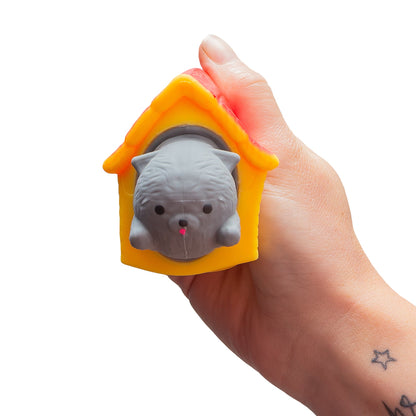 POP-OUT POOCH
