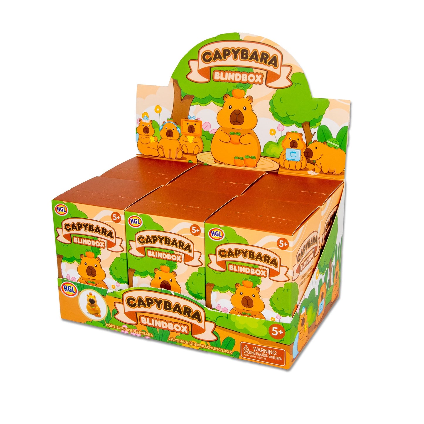BLIND BOX CAPYBARA