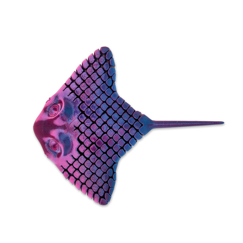 RAIE IMPRIMÉE EN 3D