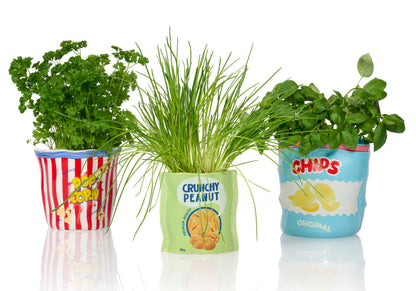 Pot de Fleur Pop-Corn en Céramique