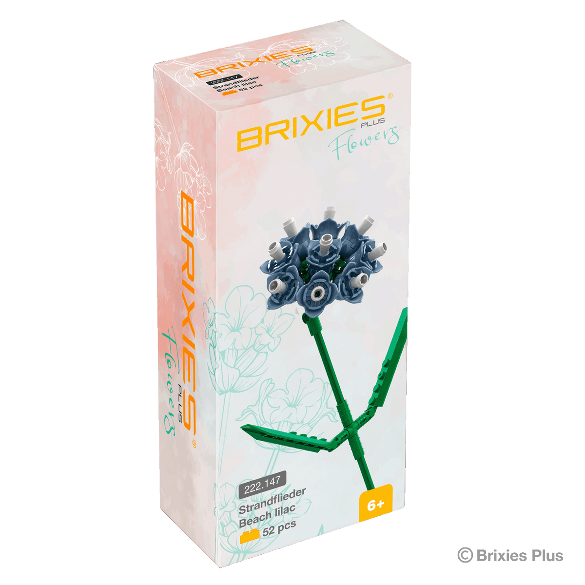 BRIXIES Plus Flowers Sea Lavender