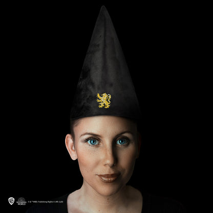 *Gryffindor Student Hat