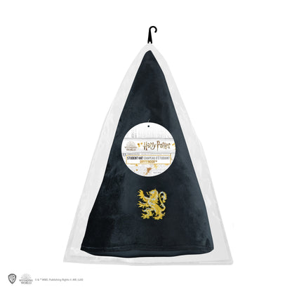*Gryffindor Student Hat
