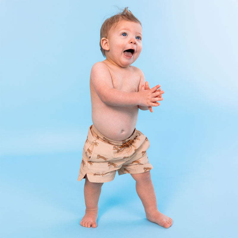 Swim Shorts - Brown - Roamer