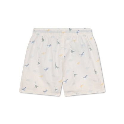 Swim Shorts - Multicolor - Dino