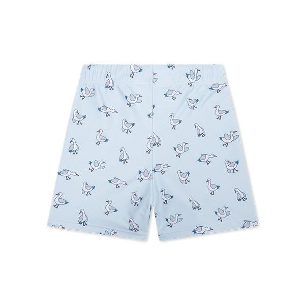 Swim Boxer - Blue - Little Seagull