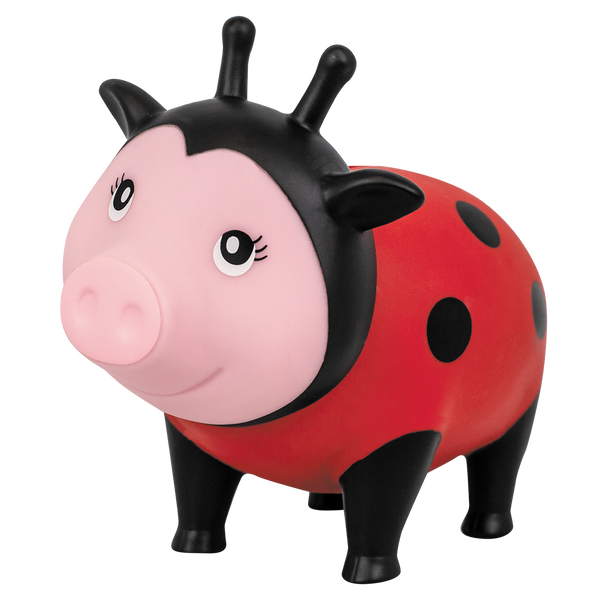 Pig Ladybug