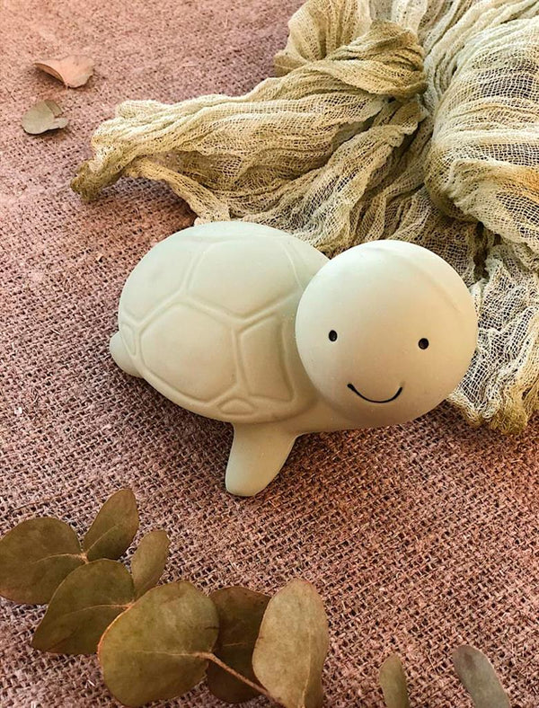 Mijn eerste zeedier: een schildpad