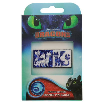 Dragons Pin - Toothless/Light Fury