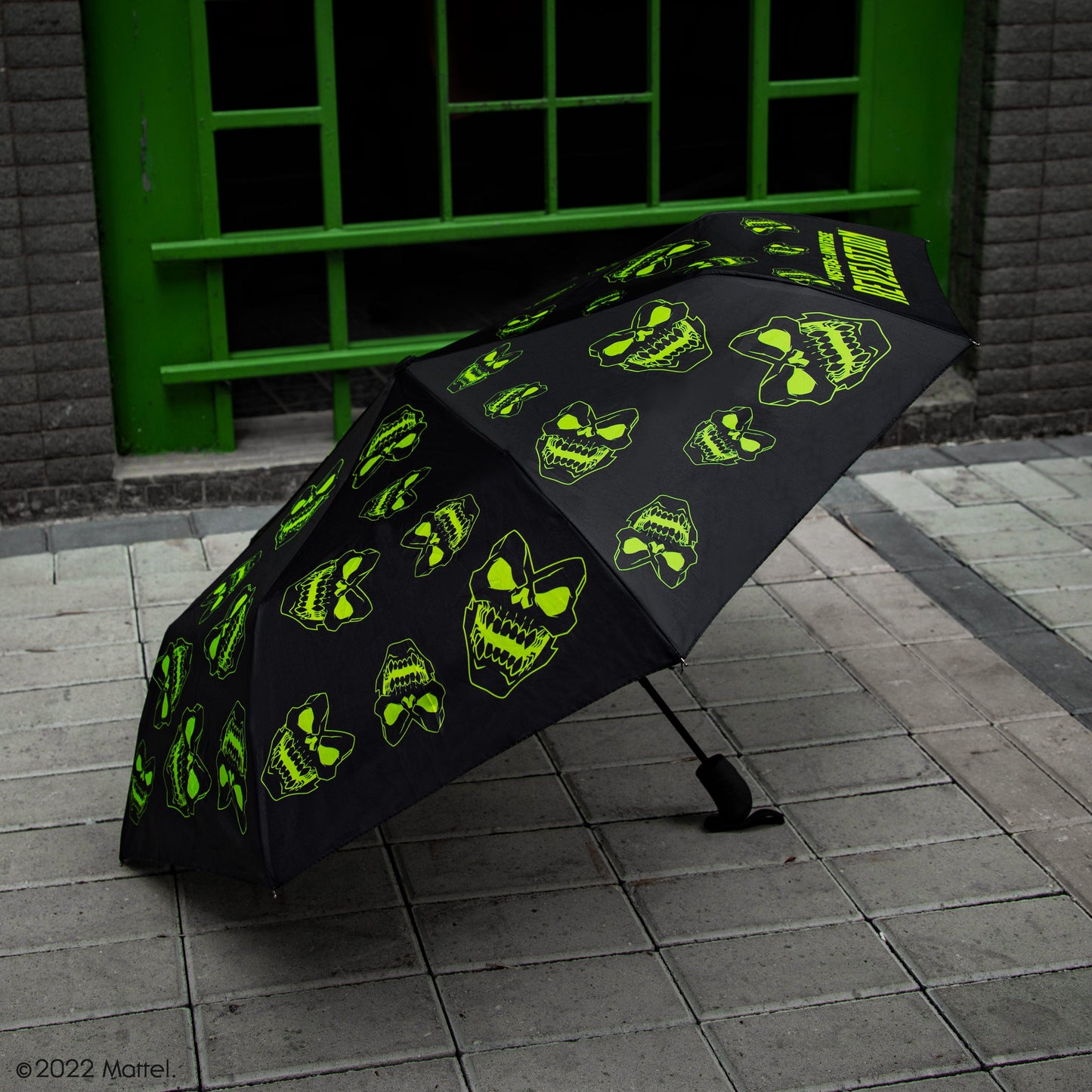 *Skeletor Head Umbrella