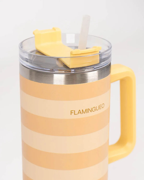 1.18L Thermo Bottle - CHESIRE