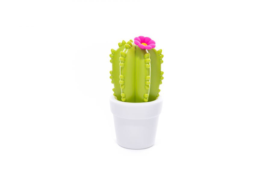 Flower cactus night light