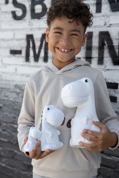 White dinosaur night light