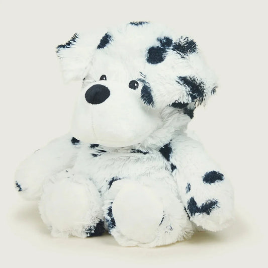 Dalmatien déhoussable bouillotte Warmies