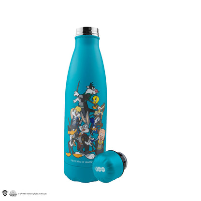 *Looney Tunes Hogwarts Insulated Bottle