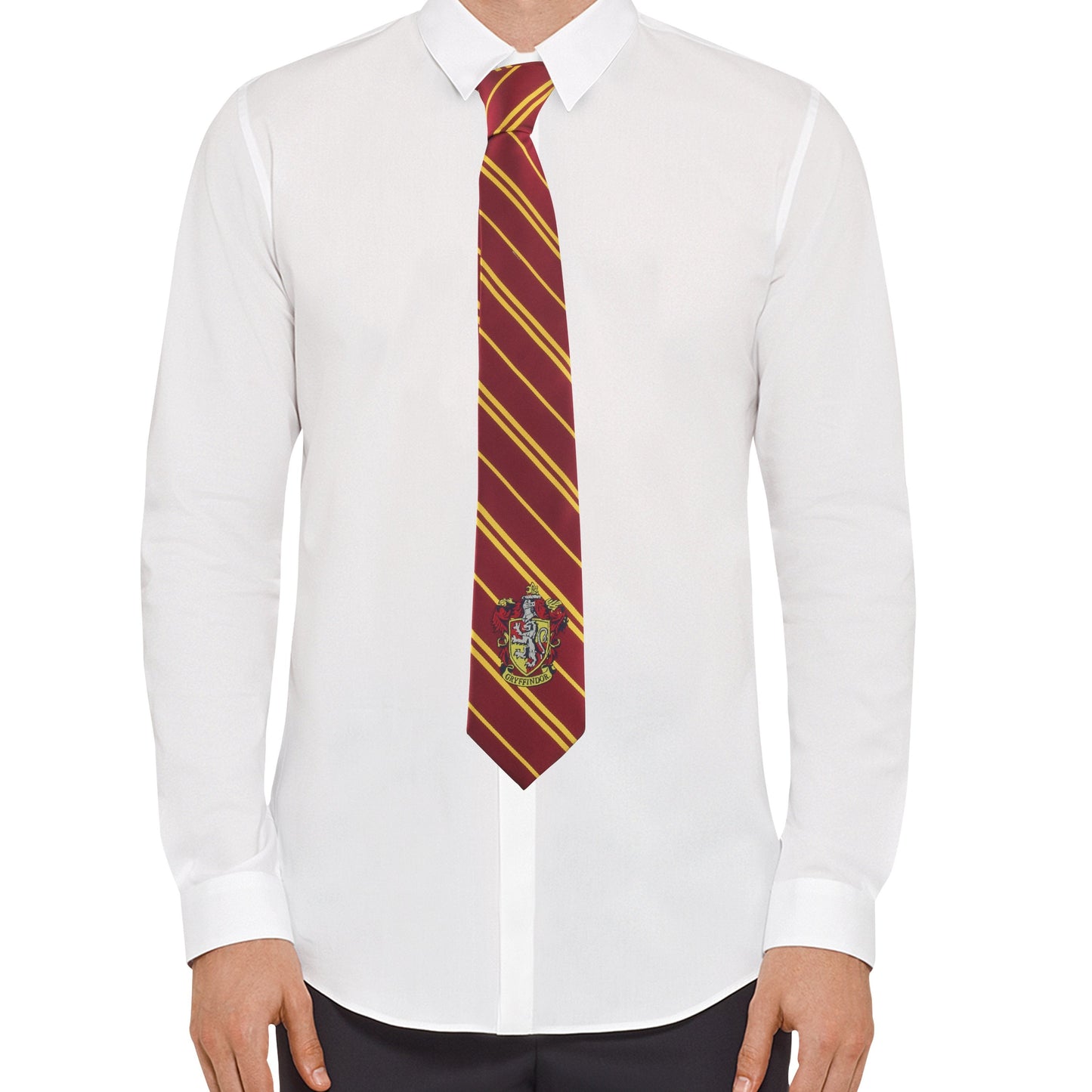 Complete Adult Gryffindor Outfit