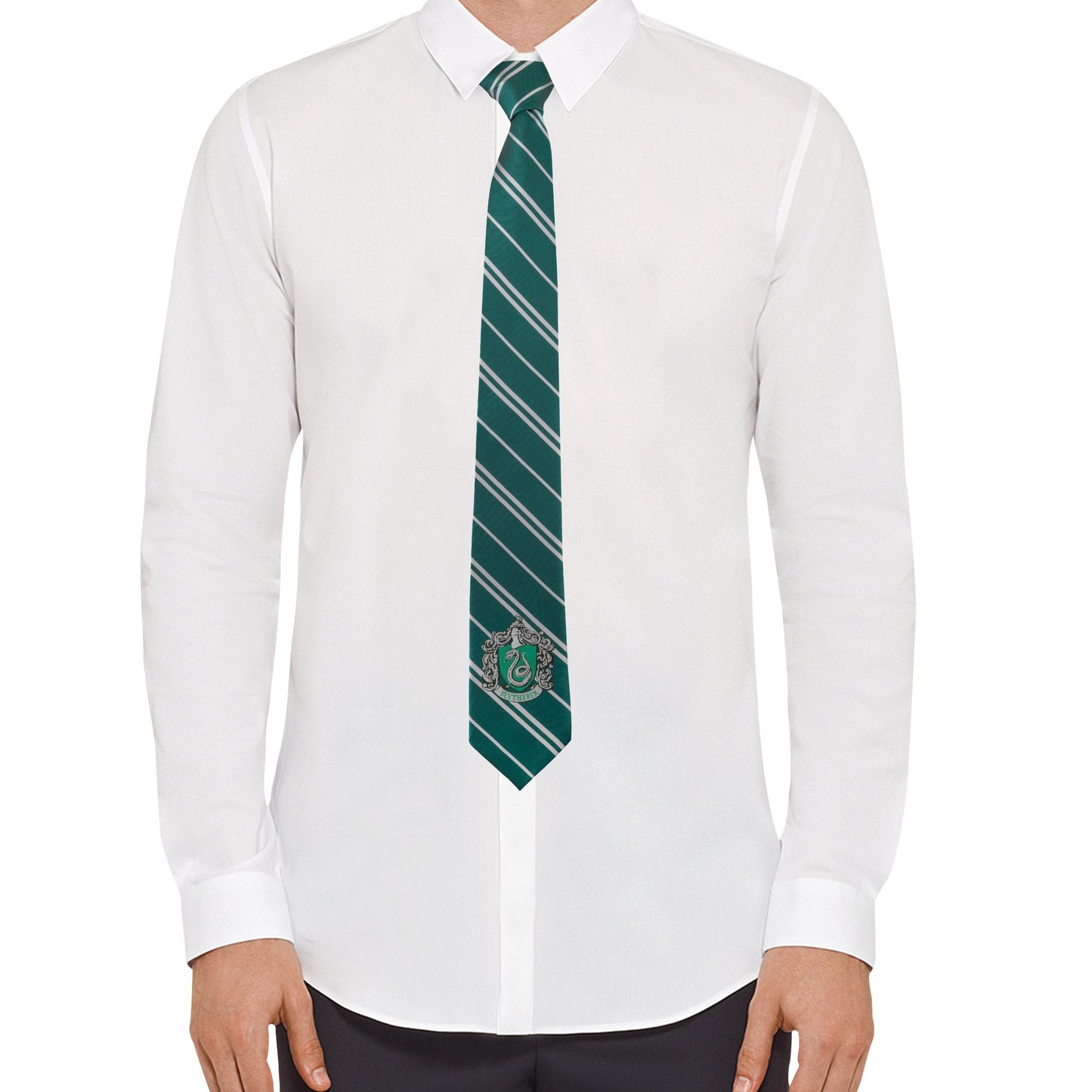Complete Slytherin Adult Outfit