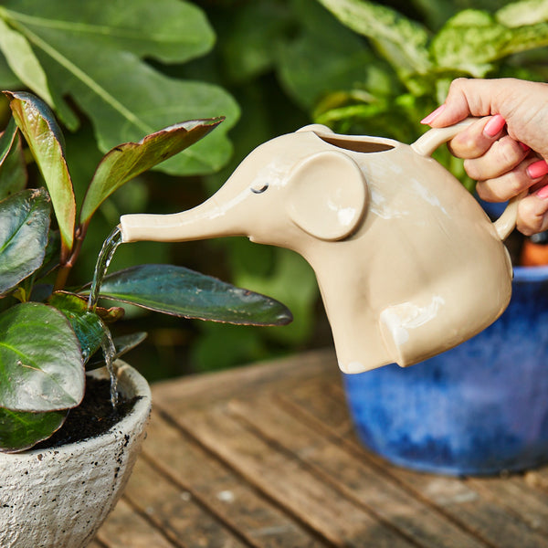 Elephant Watering Can