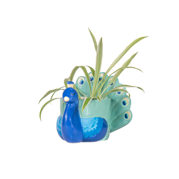 Mini Peacock Planter