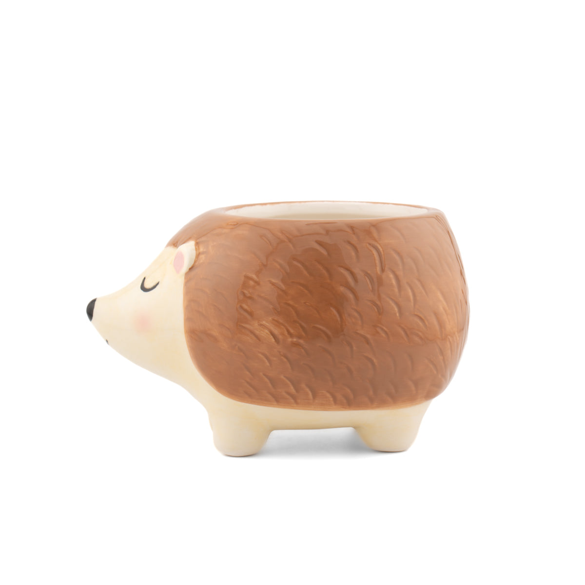 Hedgehog planter