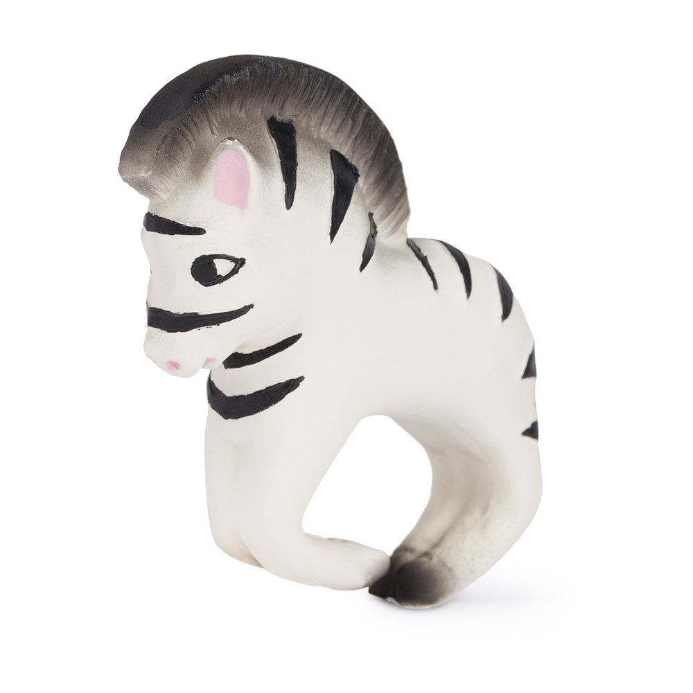 Zoe the zebra