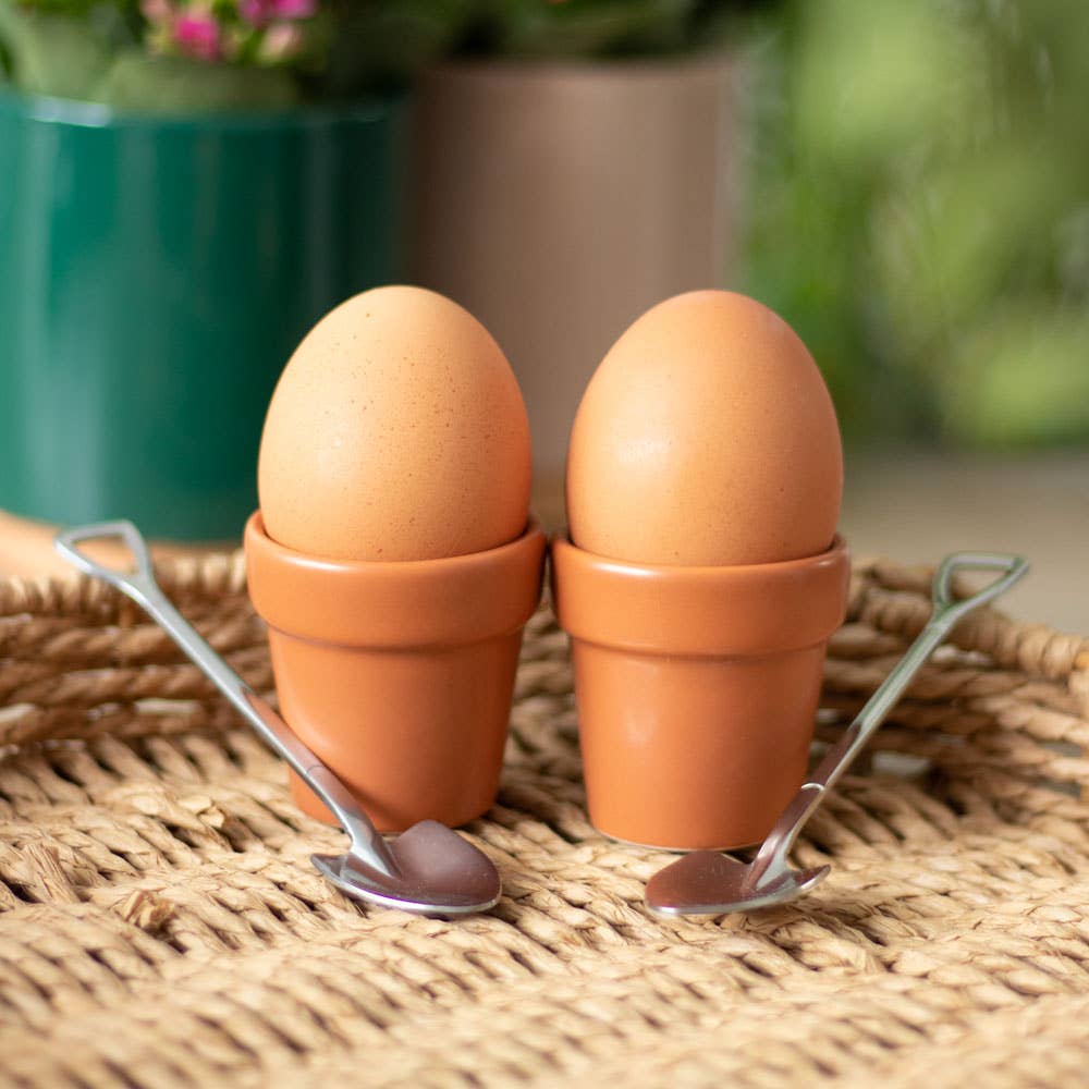 Egg cups Flower pots with spoons