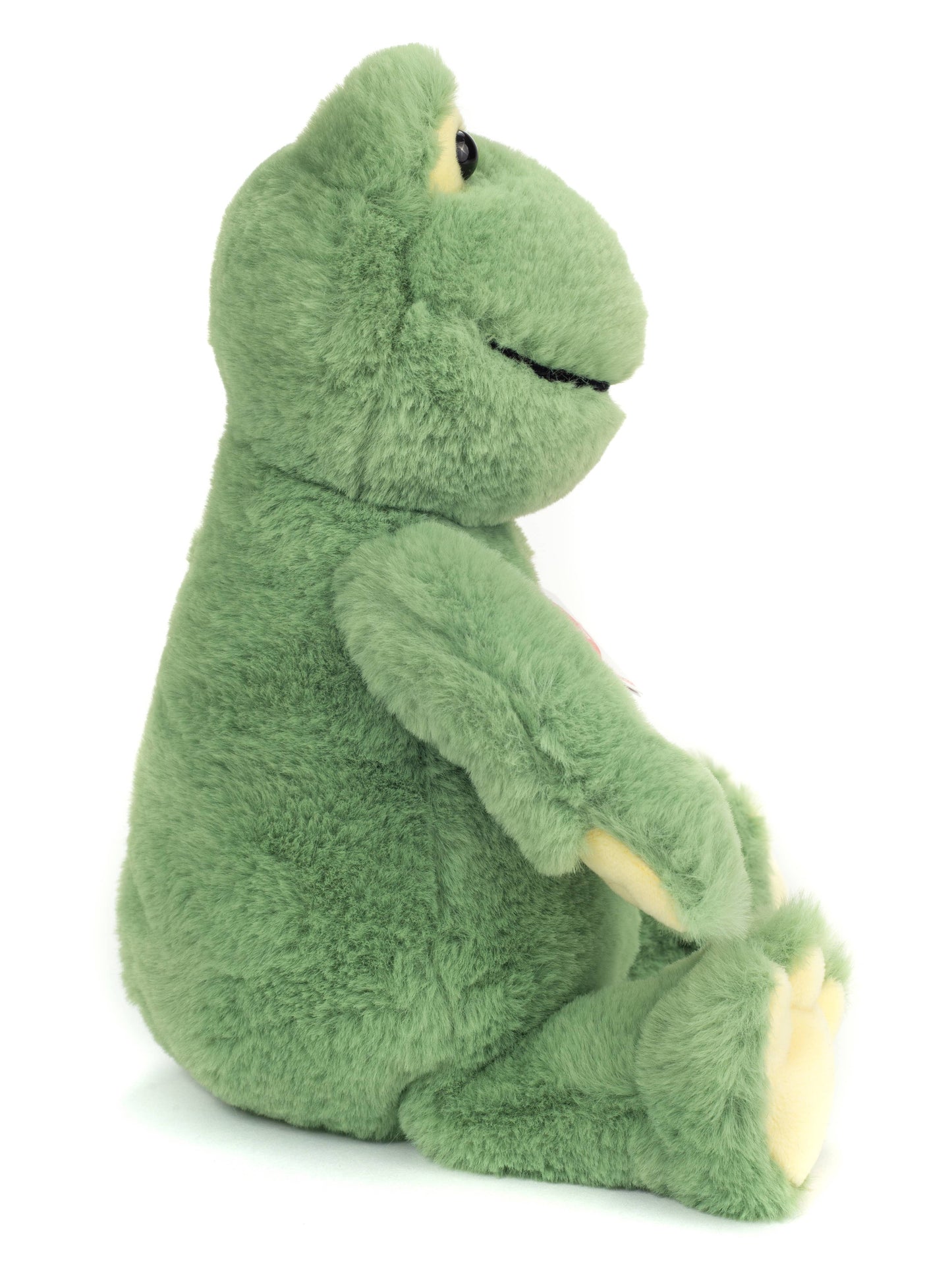 Frederik the Frog Plush Toy
