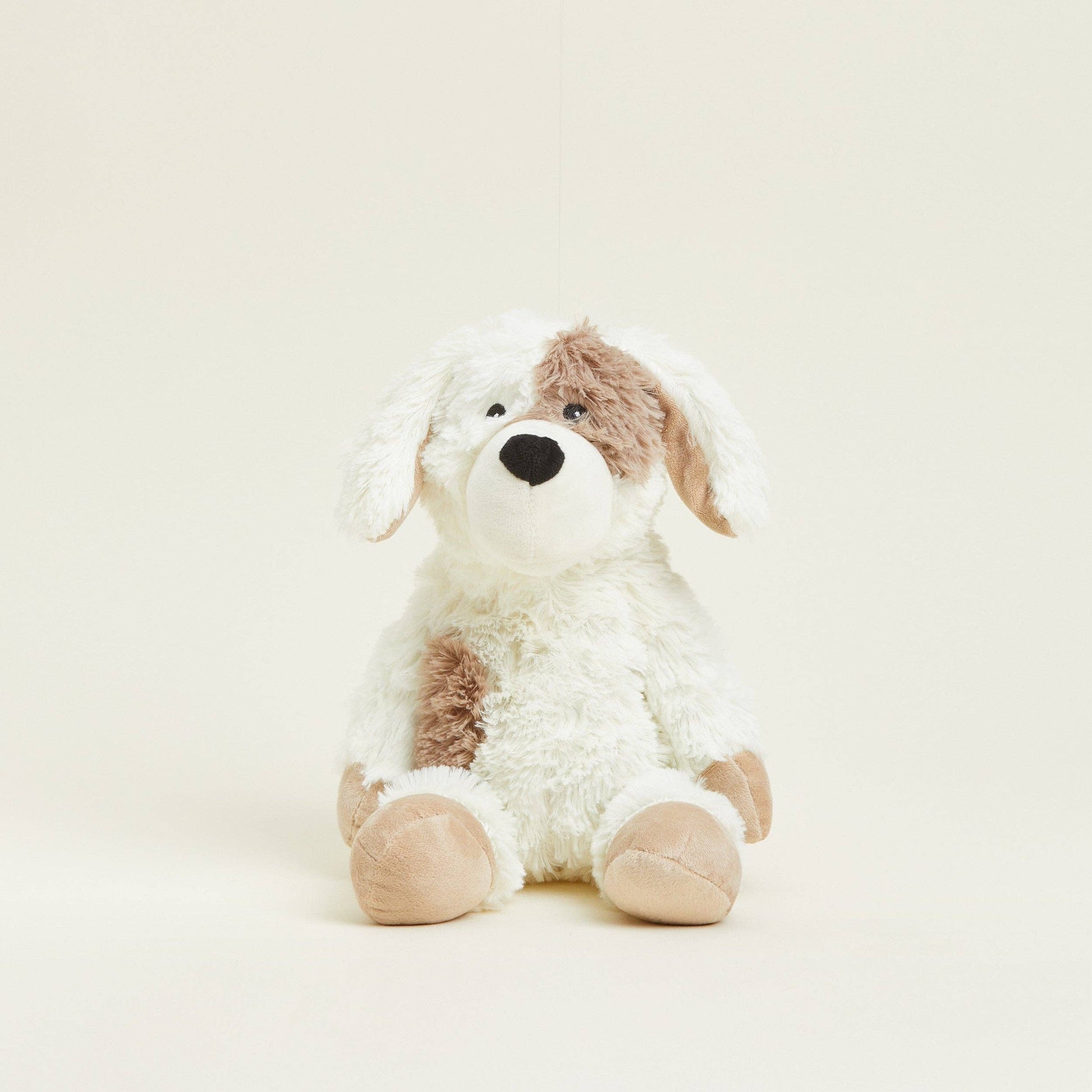 Chien bouillotte Warmies
