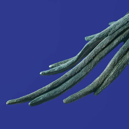 Turquoise Parrot Ceiling Light