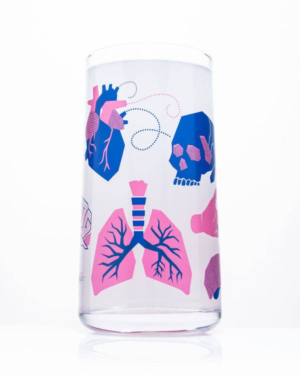Verres à boire rétro – Anatomie – produit scientifique Cognitive Surplus EU, vue 1