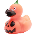 Halloween Pompoen Eend