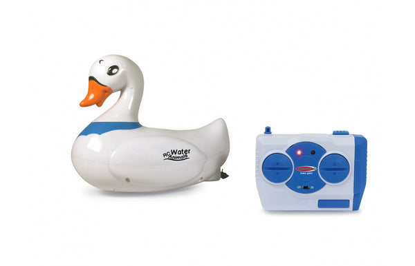 Cygne Blanc RC